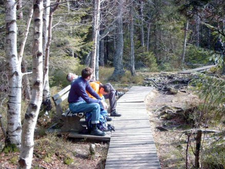 Bild "2002-03-17_schwarzwald02_small.jpg"